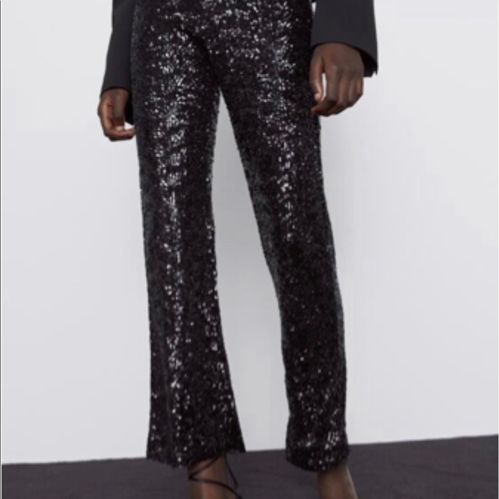 Zara Sequence Pants